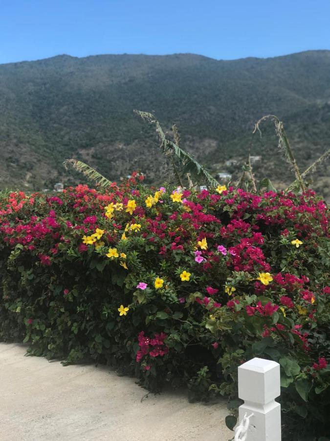 Ocean View Villas Jost Van Dyke Exterior photo